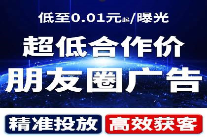 专业SEM服务公司案例分析报告
